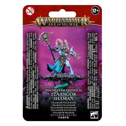 Disciples of Tzeentch: Tzaangor Shaman