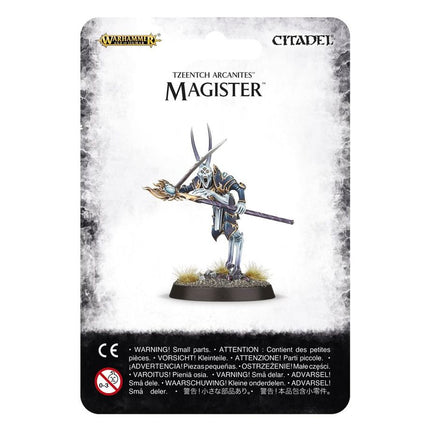 Disiples of Tzeentch: Magister