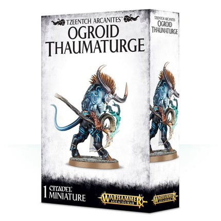 Disiples of Tzeentch: Ogroid Thaumaturge