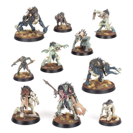 Flesh-eater Court: Royal Beastflayers