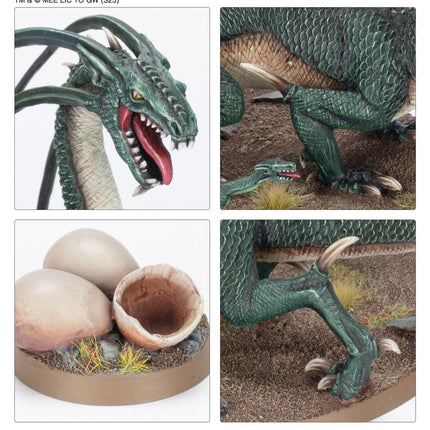 Cave Drake