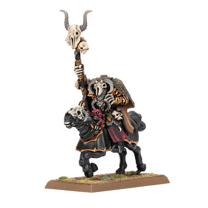 Warroirs of Chaos: Sorcerer of Chaos on Chaos Steed