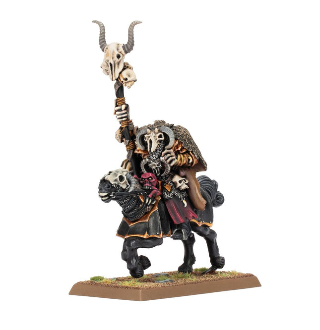 Warroirs of Chaos: Sorcerer of Chaos on Chaos Steed