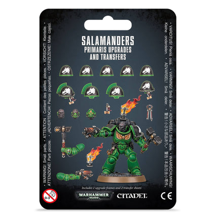 Salamanders: Primaris Upgrades & Transfrs