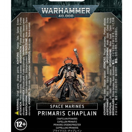 Space Marines: Primaris Chaplain